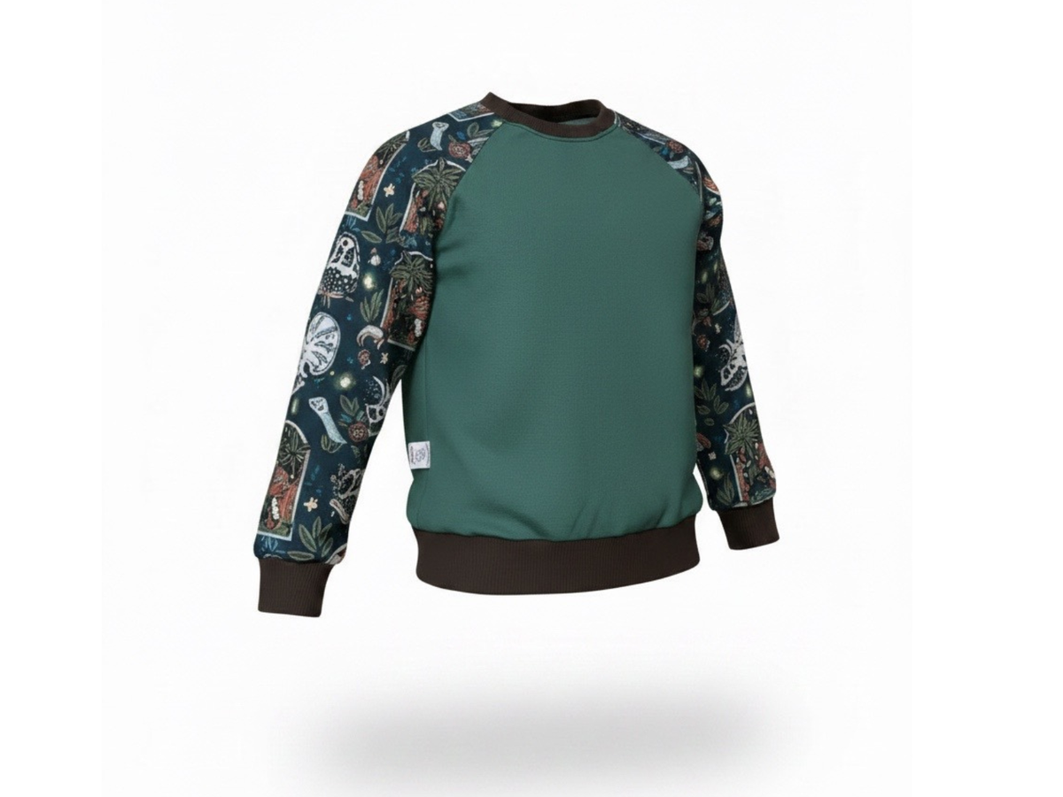 Dinosaur Sweatshirt Long Sleeve